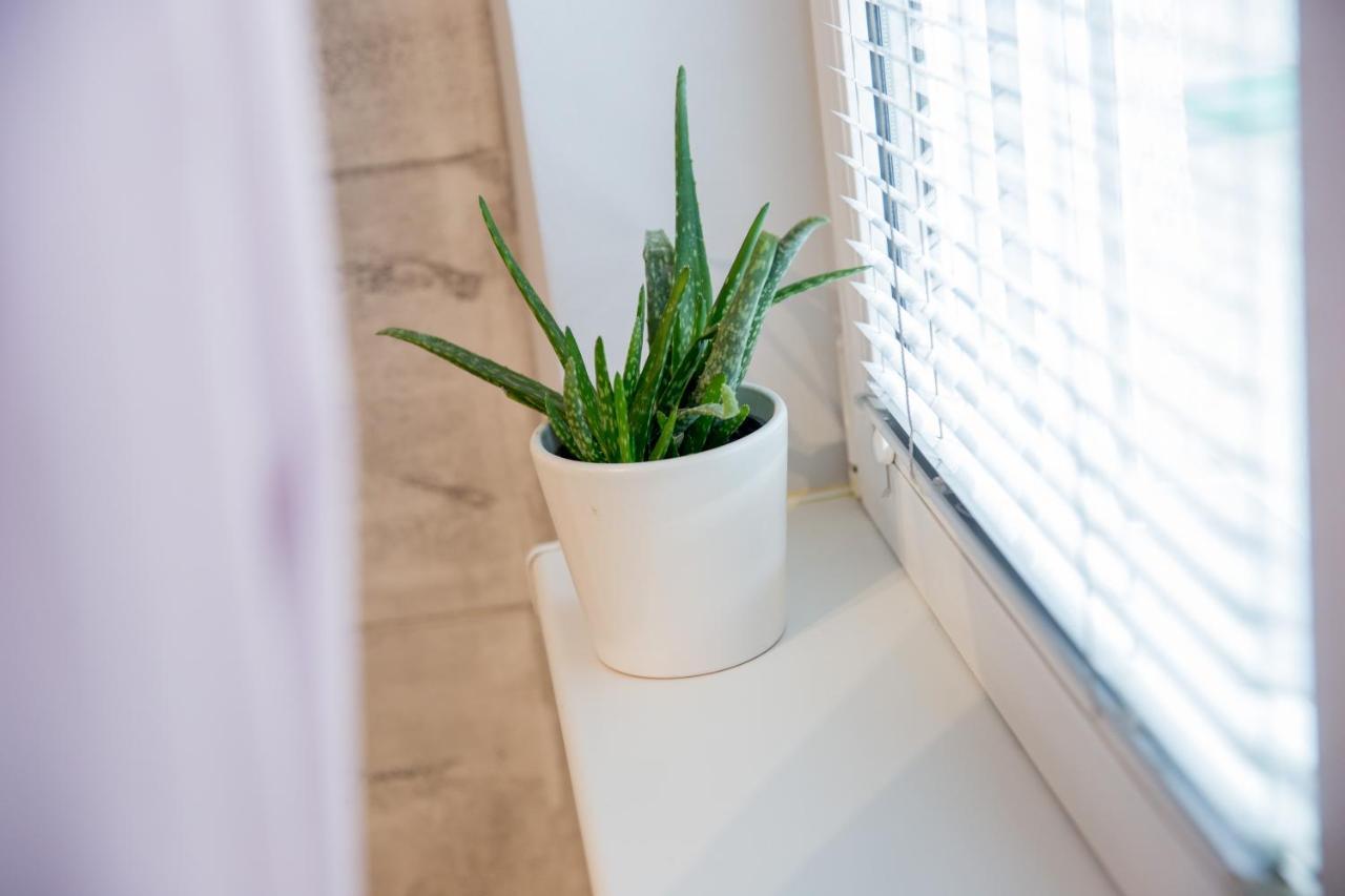 Apartment Studio Milena Суботица Экстерьер фото